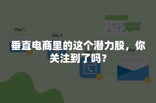 垂直电商里的这个潜力股，你关注到了吗？