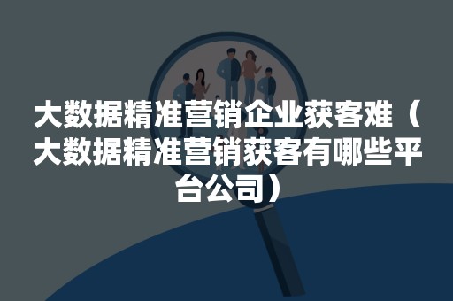 大数据精准营销企业获客难（大数据精准营销获客有哪些平台公司）