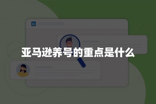 亚马逊养号的重点是什么