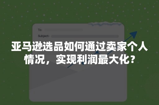 亚马逊选品如何通过卖家个人情况，实现利润最大化？