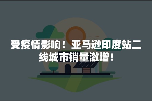 受疫情影响！亚马逊印度站二线城市销量激增！