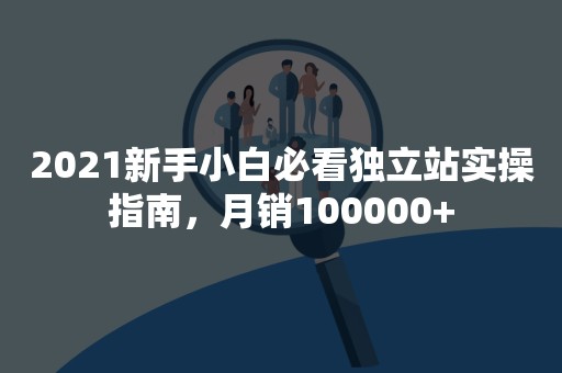 2021新手小白必看独立站实操指南，月销100000+