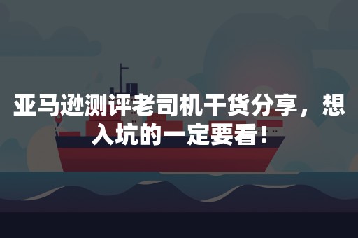 亚马逊测评老司机干货分享，想入坑的一定要看！