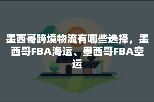 墨西哥跨境物流有哪些选择，墨西哥FBA海运、墨西哥FBA空运