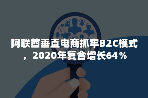 阿联酋垂直电商抓牢B2C模式，2020年复合增长64％