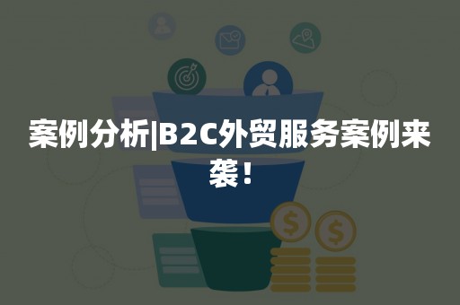 案例分析|B2C外贸服务案例来袭！