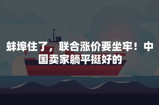 蚌埠住了，联合涨价要坐牢！中国卖家躺平挺好的