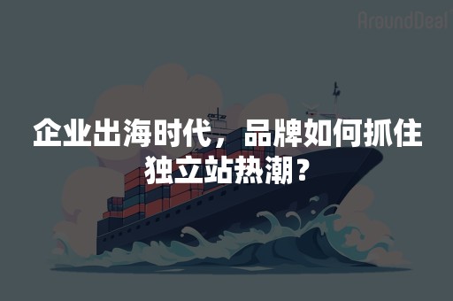 企业出海时代，品牌如何抓住独立站热潮？