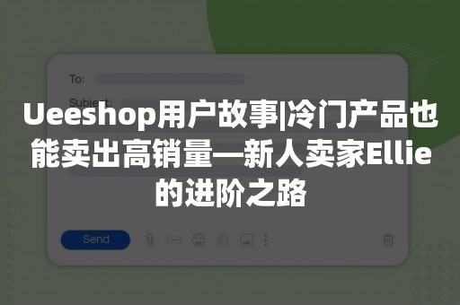 Ueeshop用户故事|冷门产品也能卖出高销量—新人卖家Ellie的进阶之路