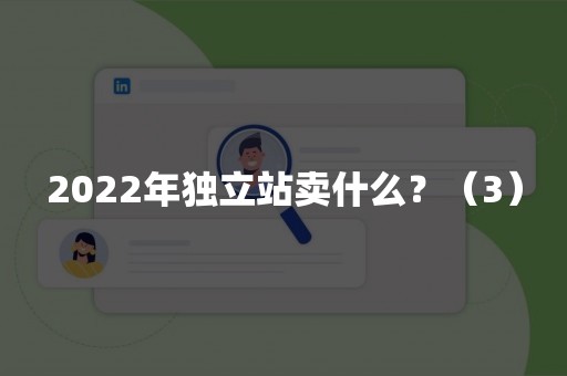 2022年独立站卖什么？（3）