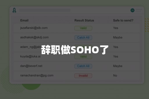 辞职做SOHO了