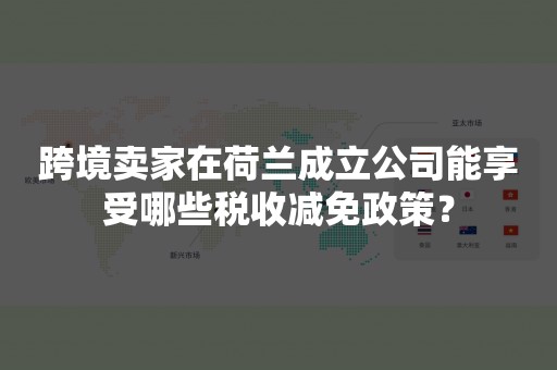 跨境卖家在荷兰成立公司能享受哪些税收减免政策？