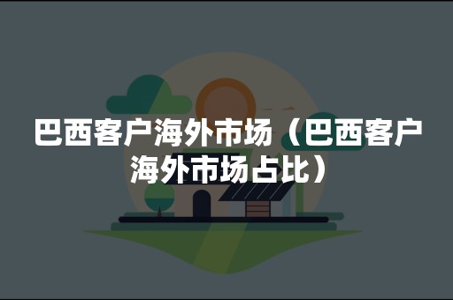 巴西客户海外市场（巴西客户海外市场占比）