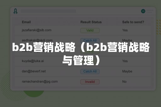 b2b营销战略（b2b营销战略与管理）