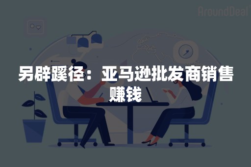 另辟蹊径：亚马逊批发商销售赚钱