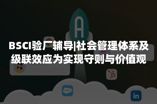 BSCI验厂辅导|社会管理体系及级联效应为实现守则与价值观