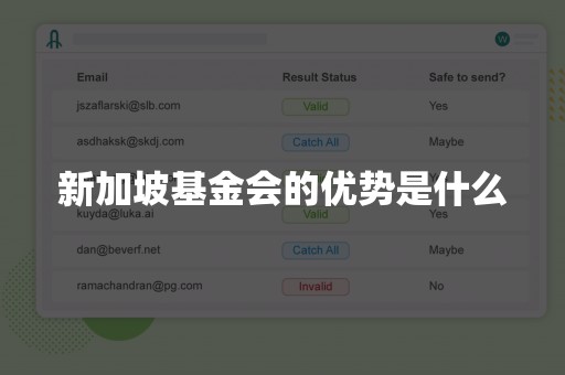 新加坡基金会的优势是什么