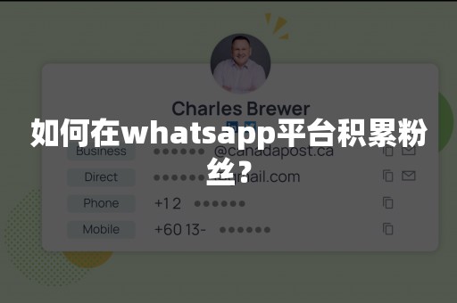 如何在whatsapp平台积累粉丝？