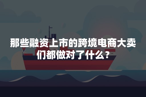 那些融资上市的跨境电商大卖们都做对了什么？