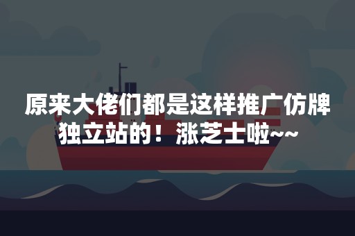 原来大佬们都是这样推广仿牌独立站的！涨芝士啦~~