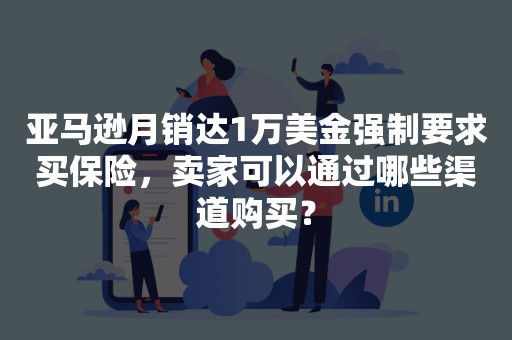 亚马逊月销达1万美金强制要求买保险，卖家可以通过哪些渠道购买？