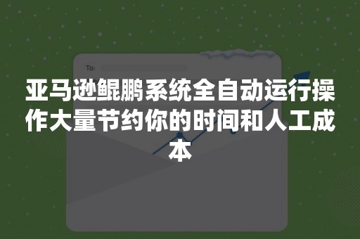 亚马逊鲲鹏系统全自动运行操作大量节约你的时间和人工成本