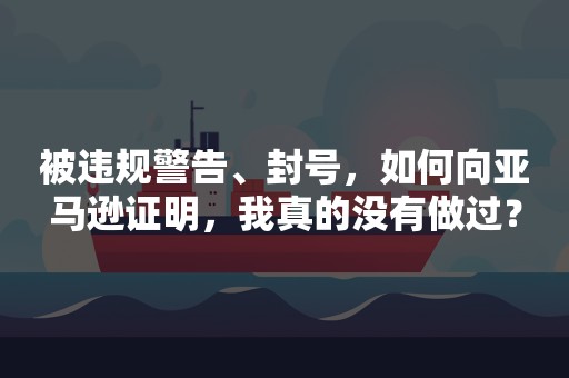 被违规警告、封号，如何向亚马逊证明，我真的没有做过？