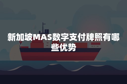 新加坡MAS数字支付牌照有哪些优势