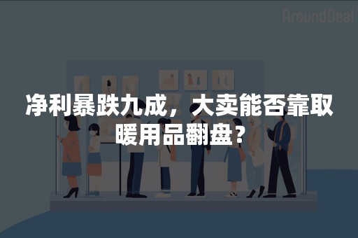 净利暴跌九成，大卖能否靠取暖用品翻盘？