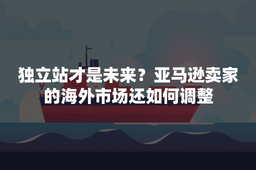 独立站才是未来？亚马逊卖家的海外市场还如何调整