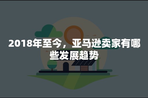 2018年至今，亚马逊卖家有哪些发展趋势