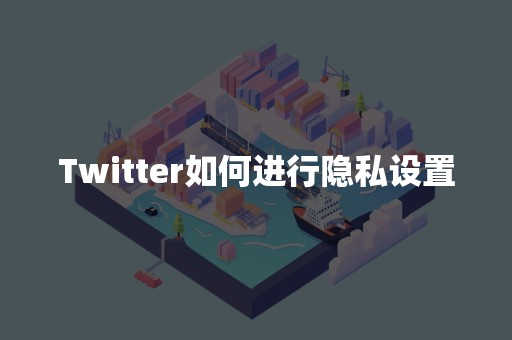 Twitter如何进行隐私设置