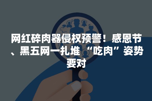 网红碎肉器侵权预警！感恩节、黑五网一扎堆 “吃肉”姿势要对