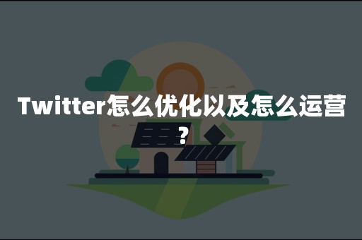 Twitter怎么优化以及怎么运营？