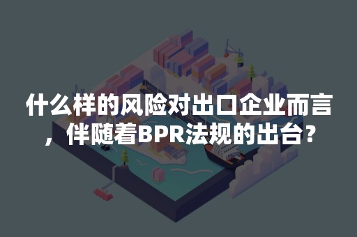 什么样的风险对出口企业而言，伴随着BPR法规的出台？