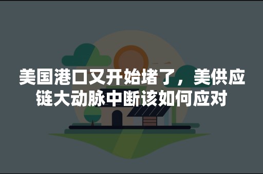 美国港口又开始堵了，美供应链大动脉中断该如何应对