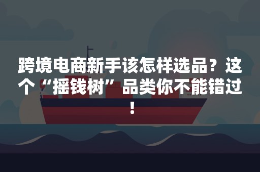 跨境电商新手该怎样选品？这个“摇钱树”品类你不能错过！