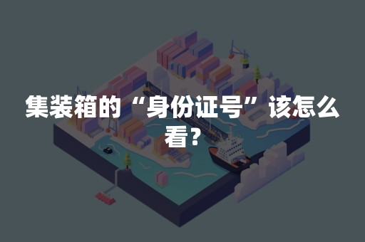 集装箱的“身份证号”该怎么看？