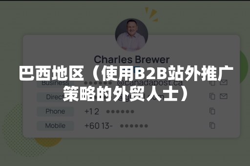 巴西地区（使用B2B站外推广策略的外贸人士）