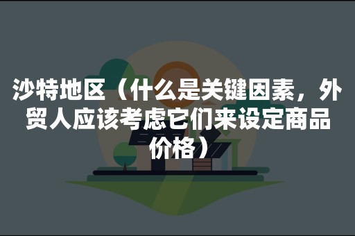 沙特地区（什么是关键因素，外贸人应该考虑它们来设定商品价格）