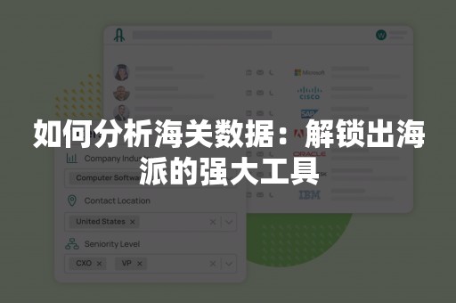 如何分析海关数据：解锁出海派的强大工具