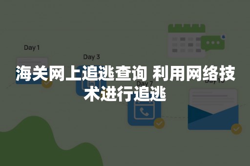 海关网上追逃查询 利用网络技术进行追逃