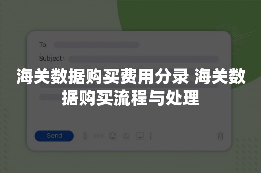 海关数据购买费用分录 海关数据购买流程与处理