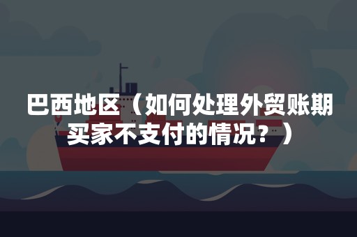 巴西地区（如何处理外贸账期买家不支付的情况？）