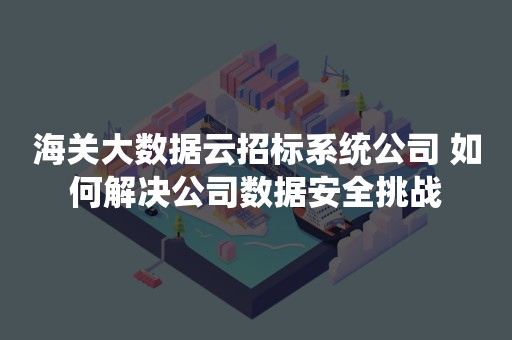 海关大数据云招标系统公司 如何解决公司数据安全挑战