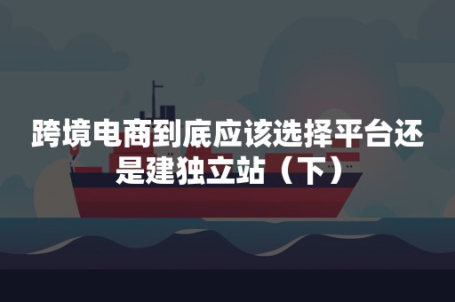 跨境电商到底应该选择平台还是建独立站（下）