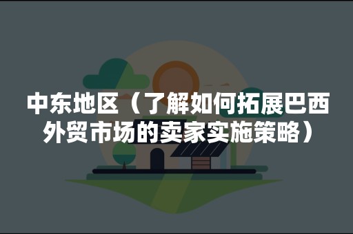 中东地区（了解如何拓展巴西外贸市场的卖家实施策略）