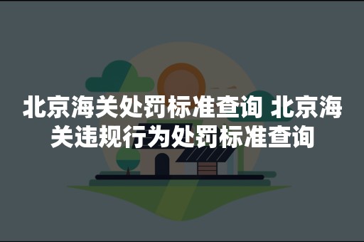 北京海关处罚标准查询 北京海关违规行为处罚标准查询