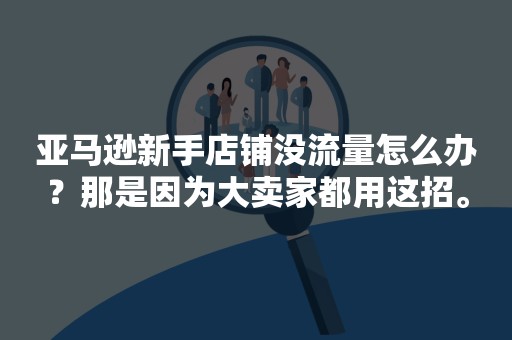 亚马逊新手店铺没流量怎么办？那是因为大卖家都用这招。