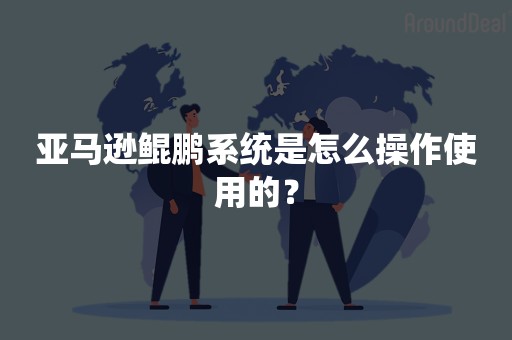 亚马逊鲲鹏系统是怎么操作使用的？